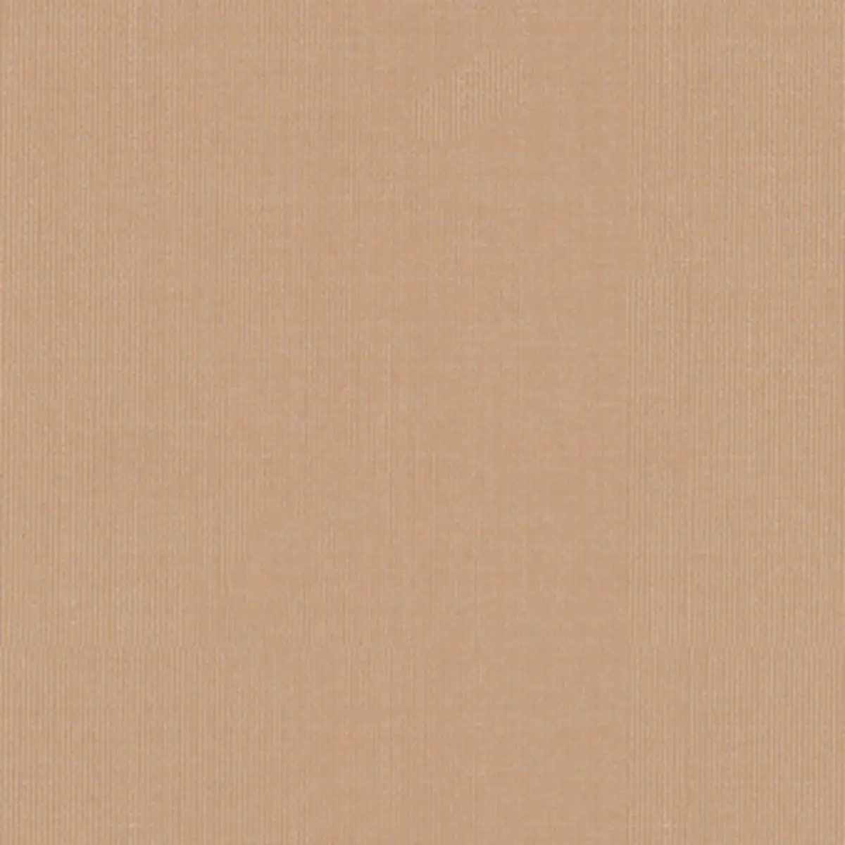 SARGENT SILK TAFFETA_ BUFF