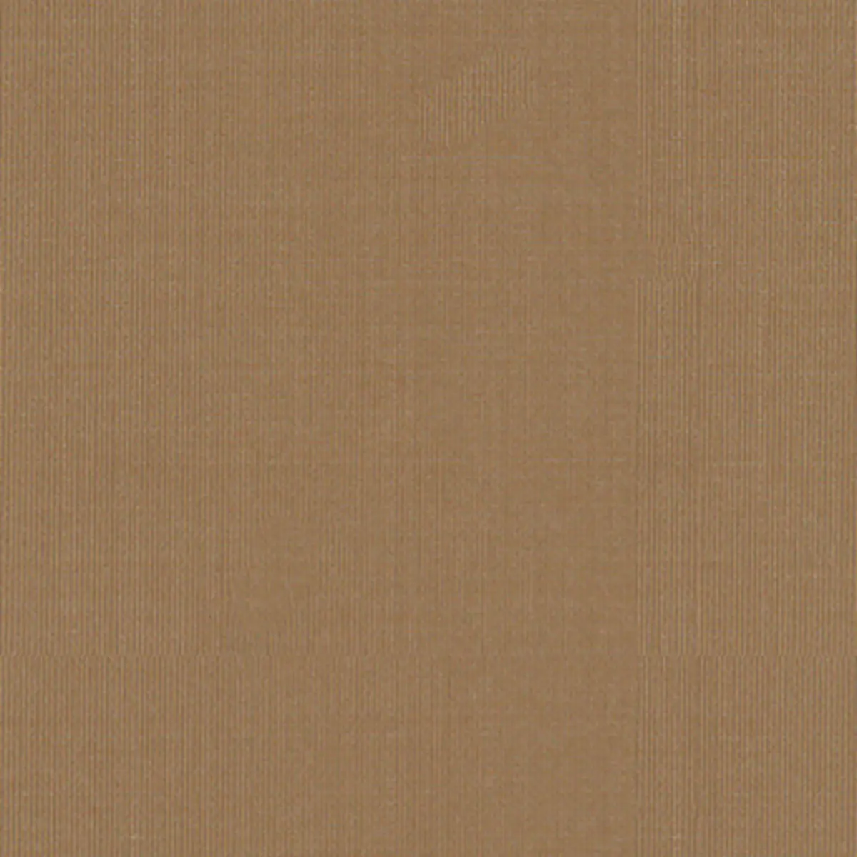 SARGENT SILK TAFFETA_ CHAMOIS