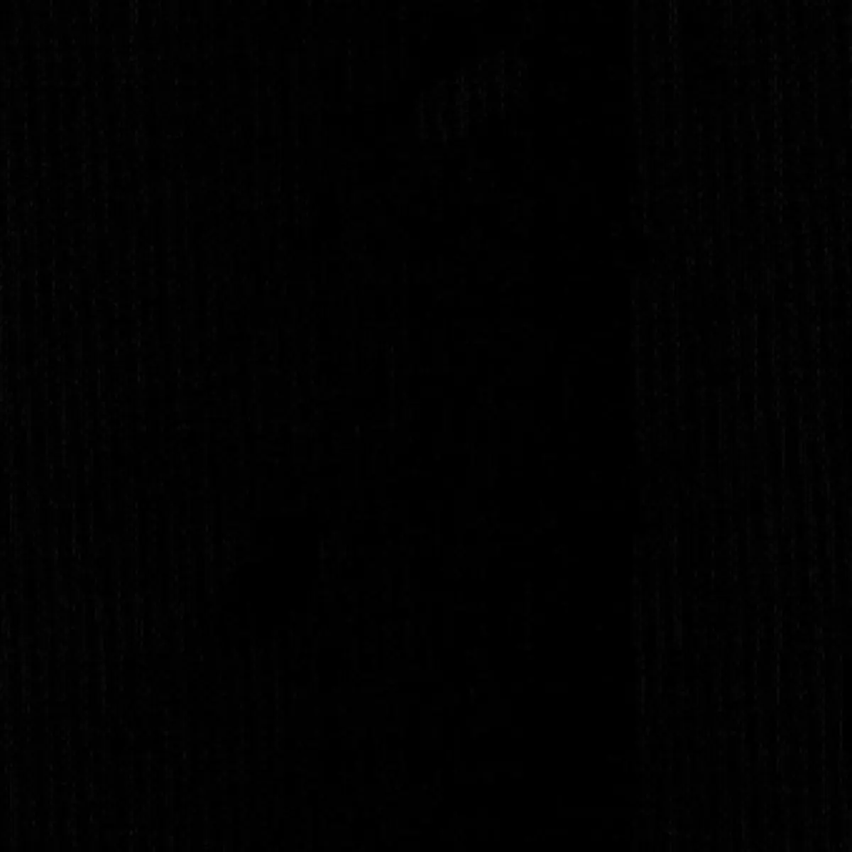 SARGENT SILK TAFFETA_ ONYX