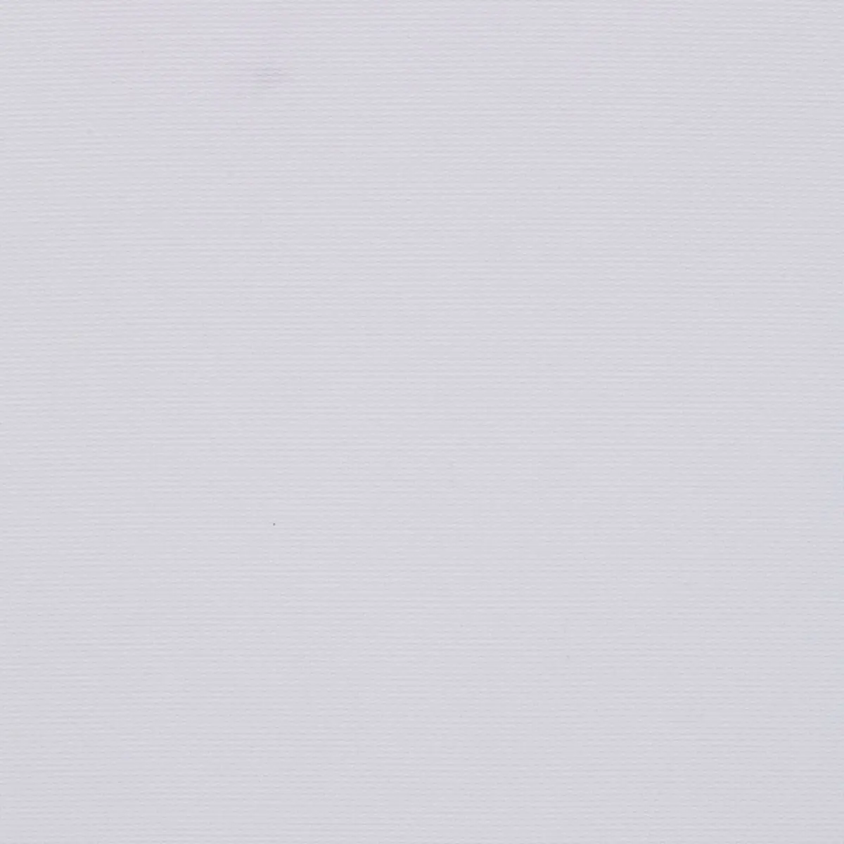 BIRDS EYE PIQUE_ WHITE