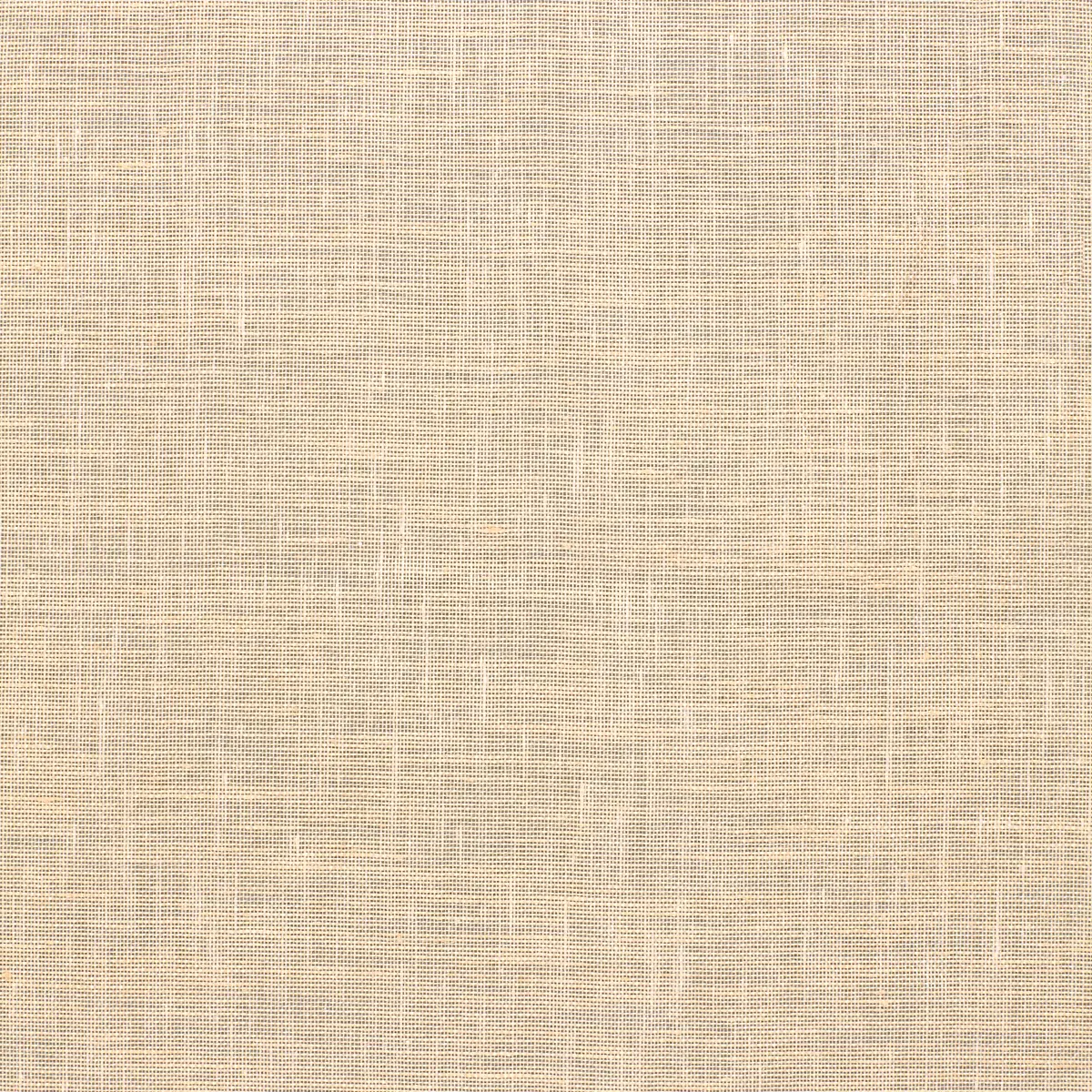 SCRIM SHEER_ CREME