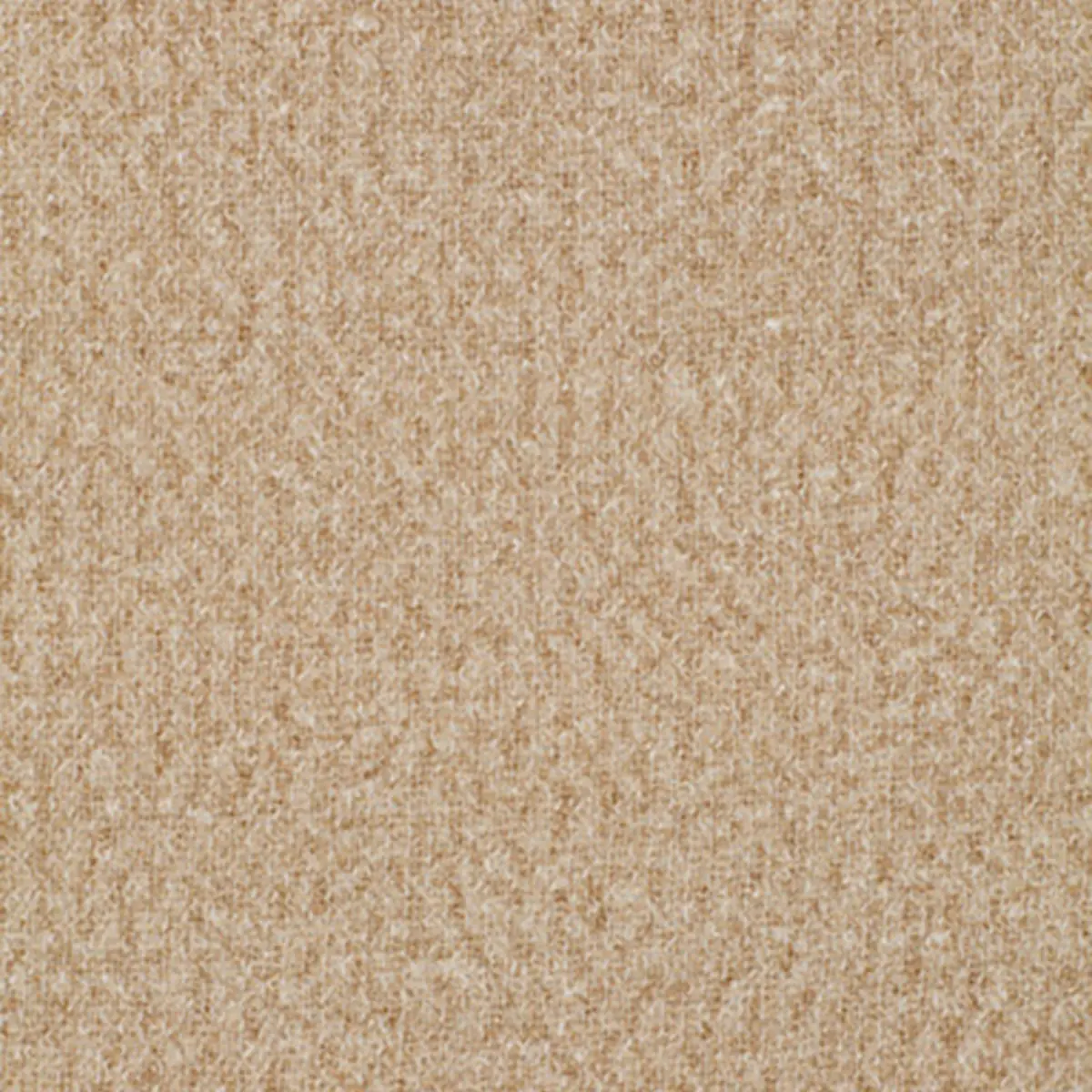 BOUCLÉ CASEMENT_ CAMEL