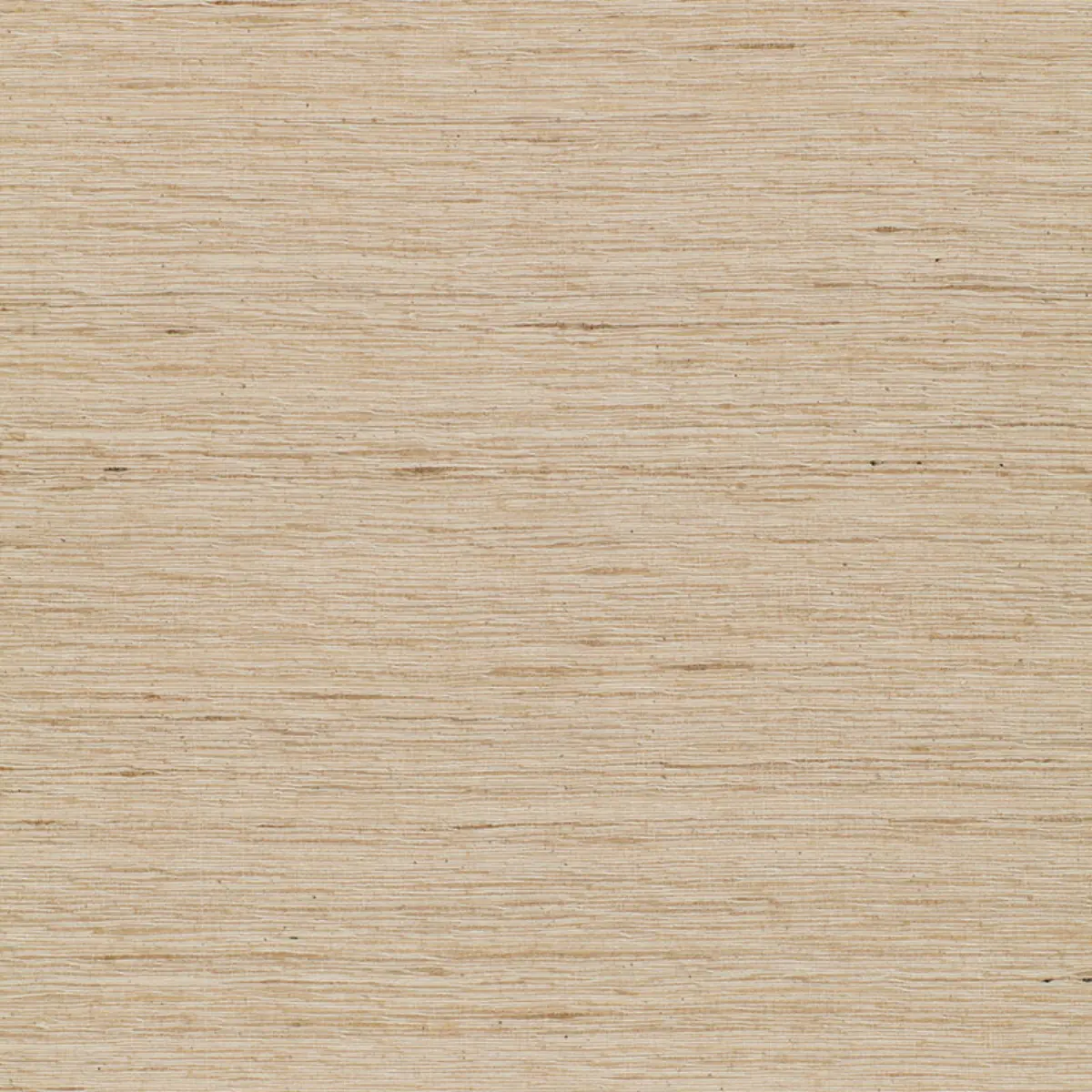 TUSSAH_ OATMEAL