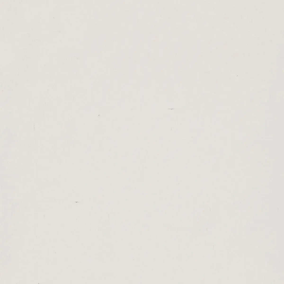 PROVINCE DUCK_ WHITE