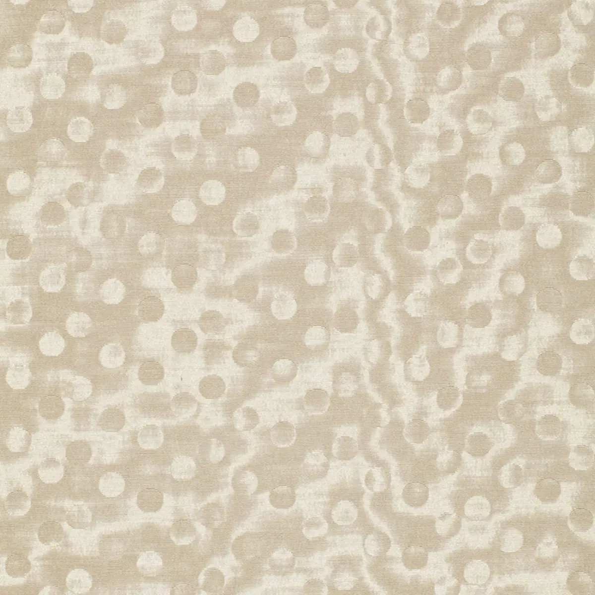 LIMELIGHT_ IVORY
