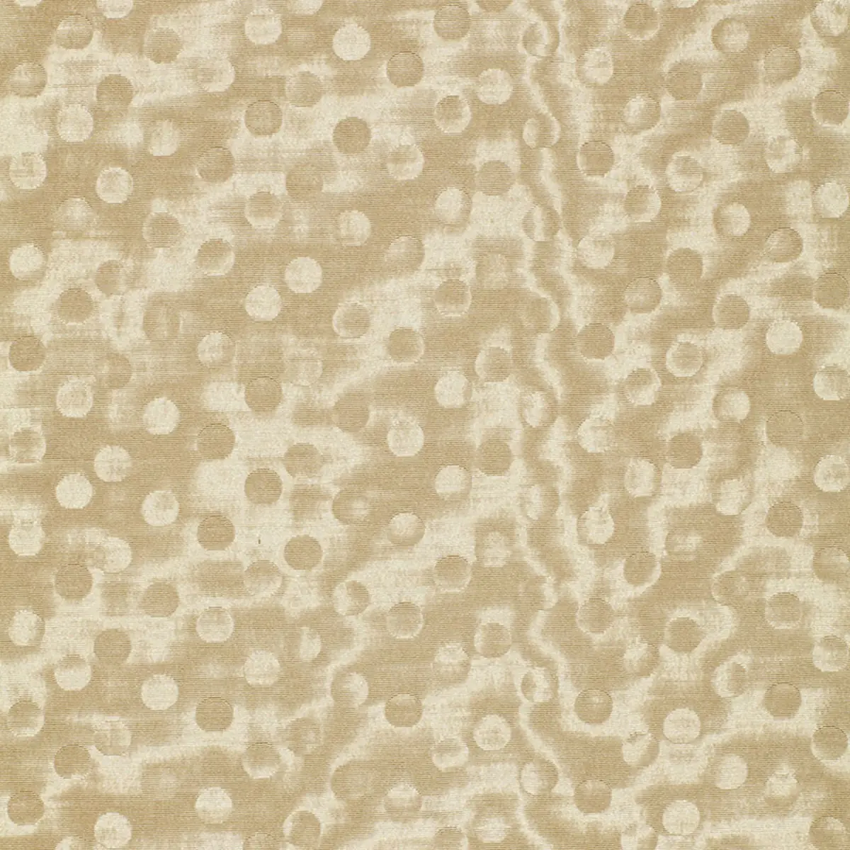 LIMELIGHT_ CASHMERE