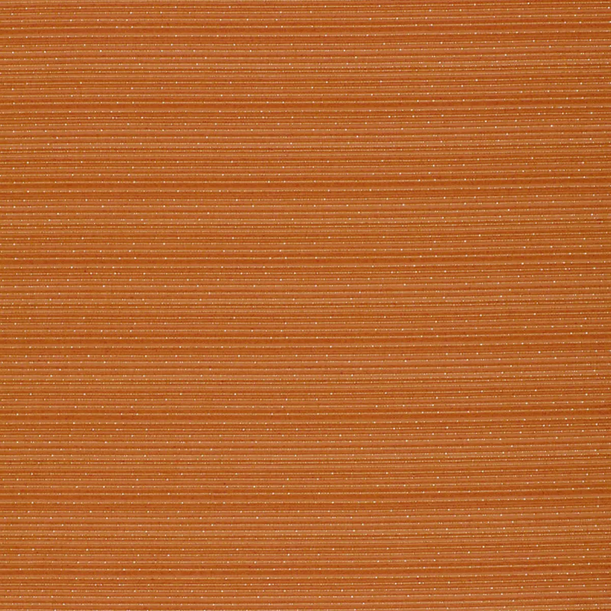 SPARKLE STRIE_ TANGERINE