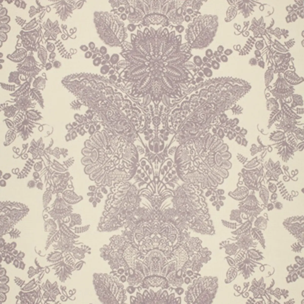LACE_ ORCHID