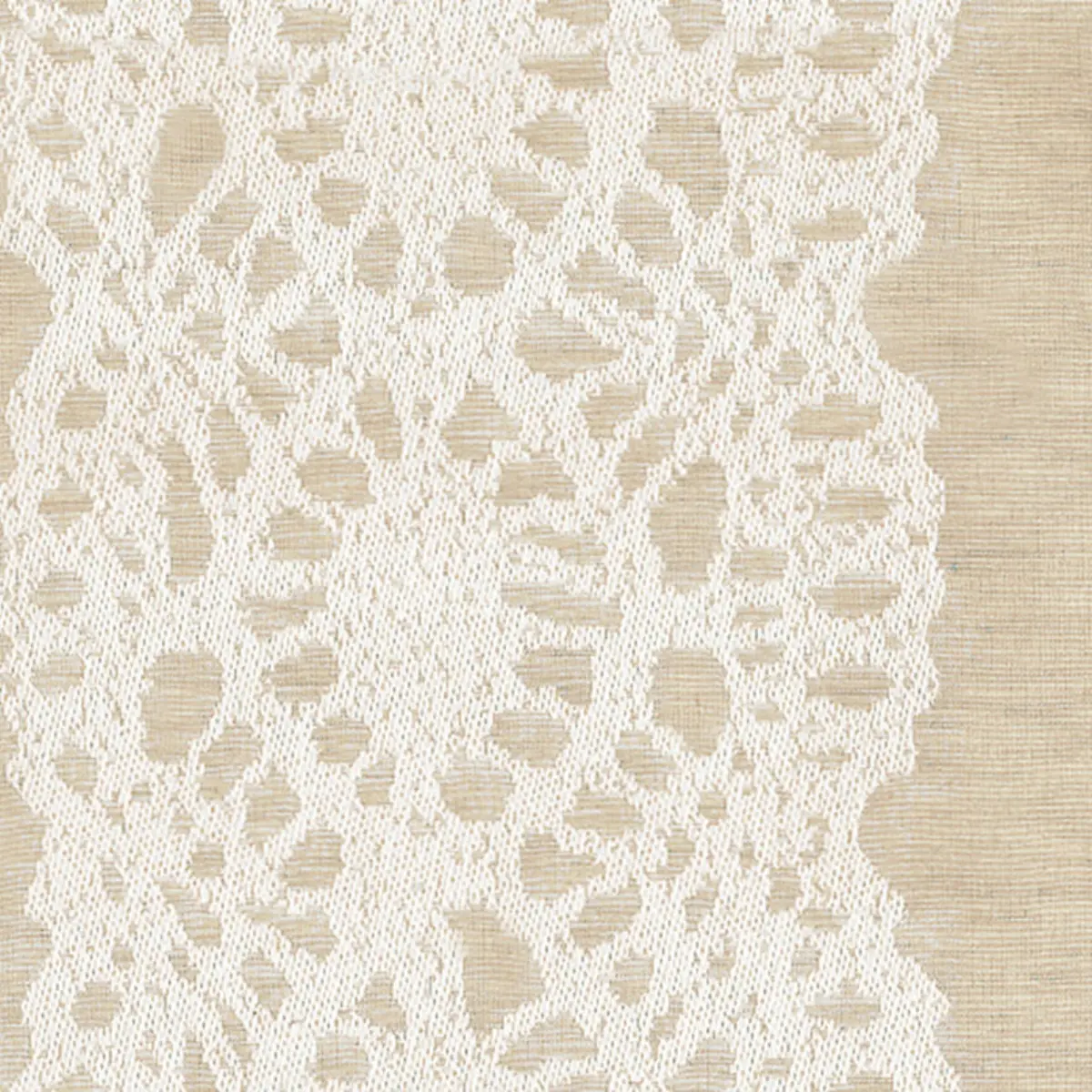 LACE LISERE_ LINEN