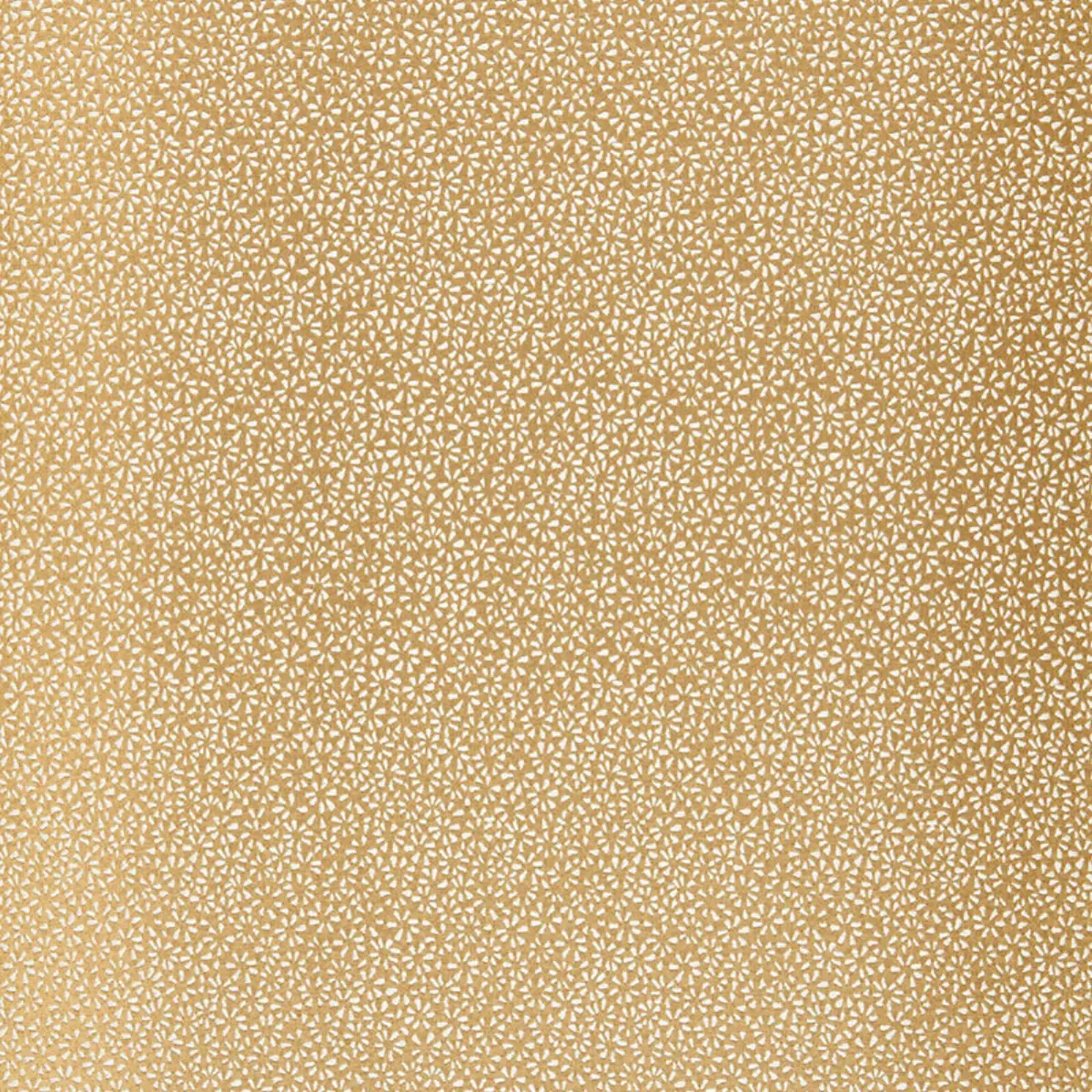KYOUSHA SILK_ CHAMPAGNE