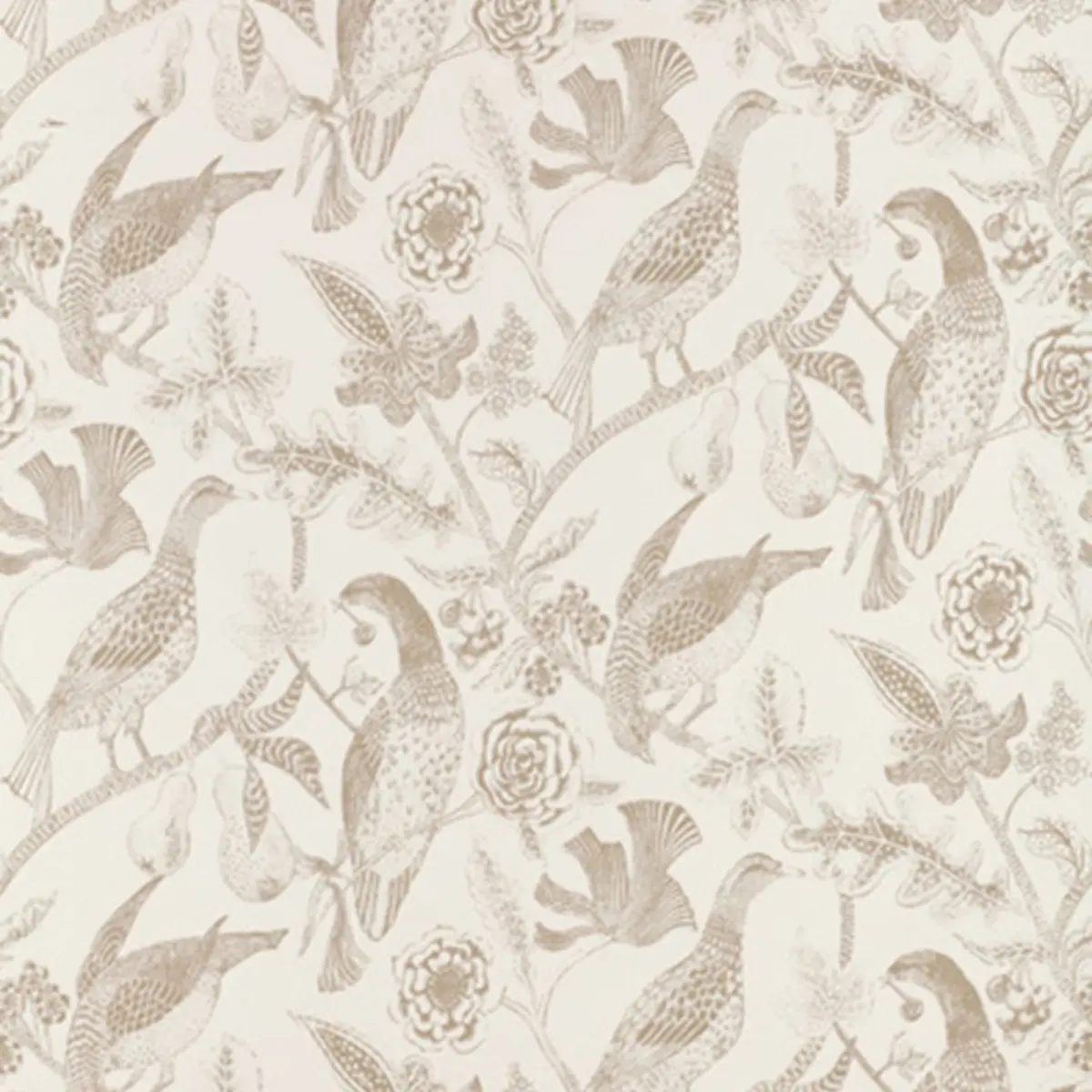 KATMANDU_ BEIGE