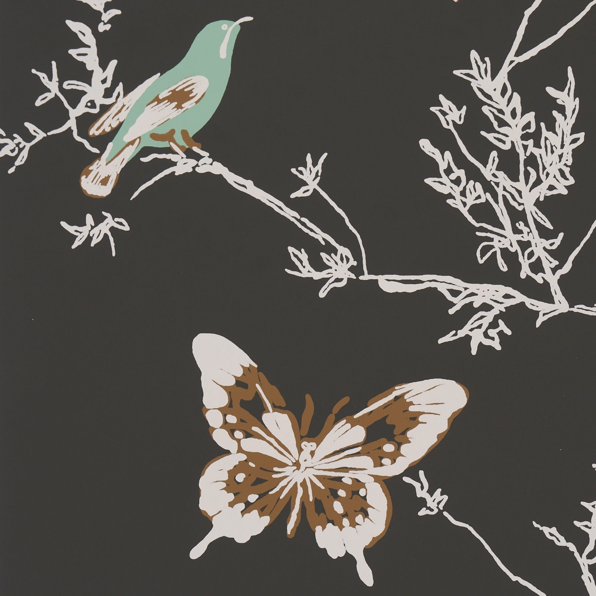 BIRDS & BUTTERFLIES_ GRAPHITE