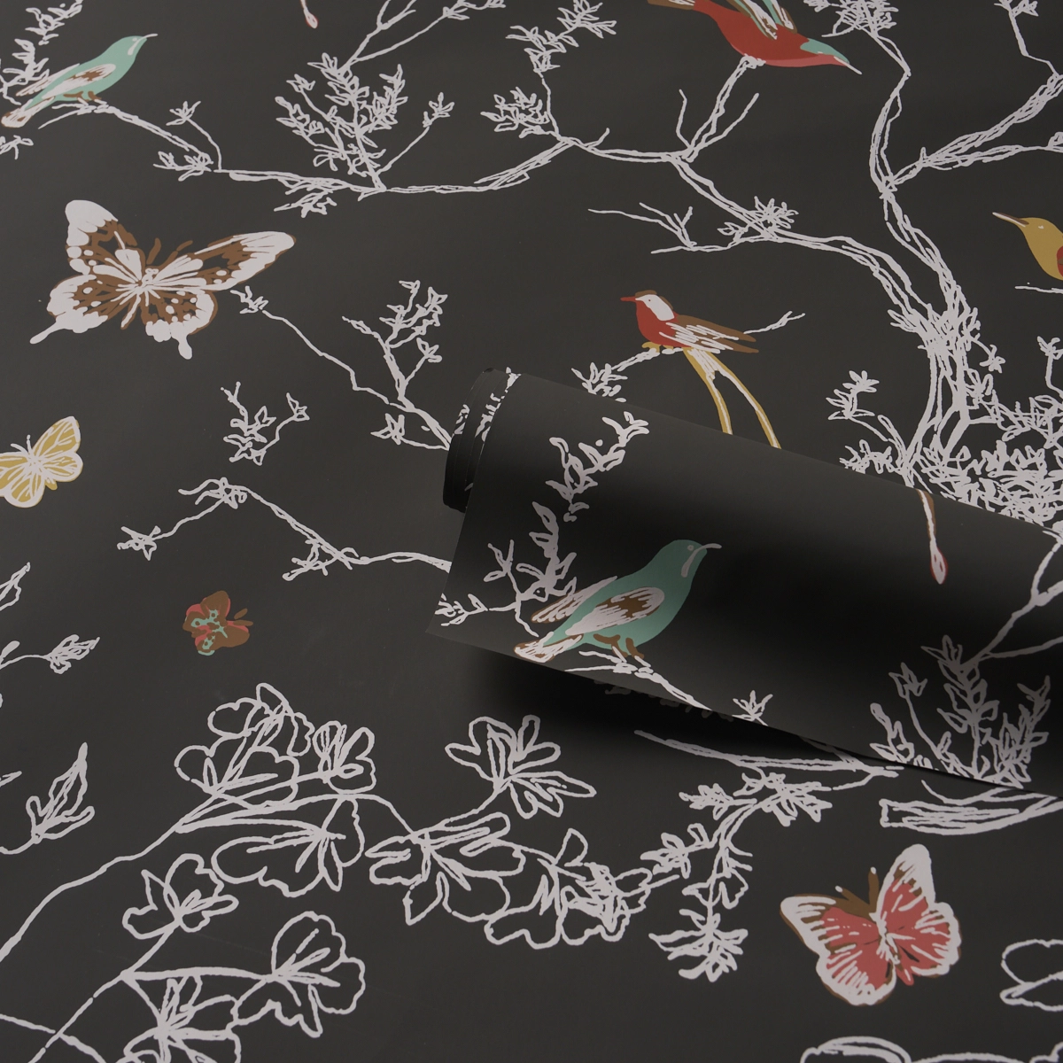 BIRDS & BUTTERFLIES_ GRAPHITE