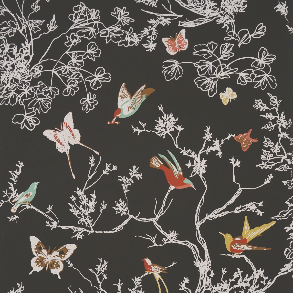 BIRDS & BUTTERFLIES_ GRAPHITE