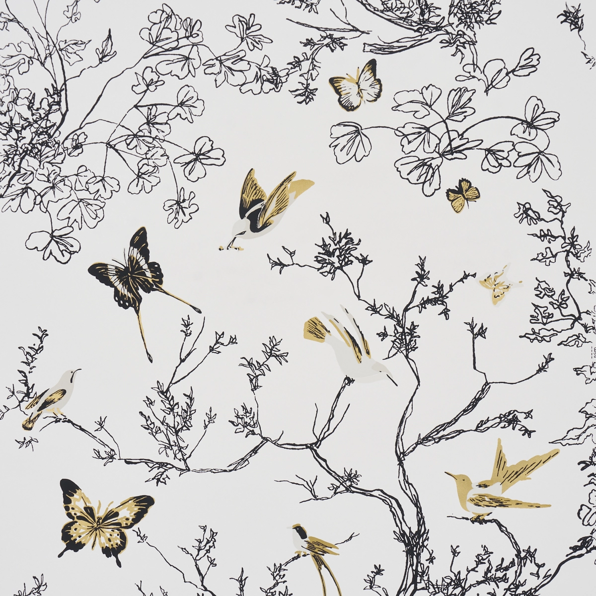 Birds & Butterflies_ BLACK & GOLD