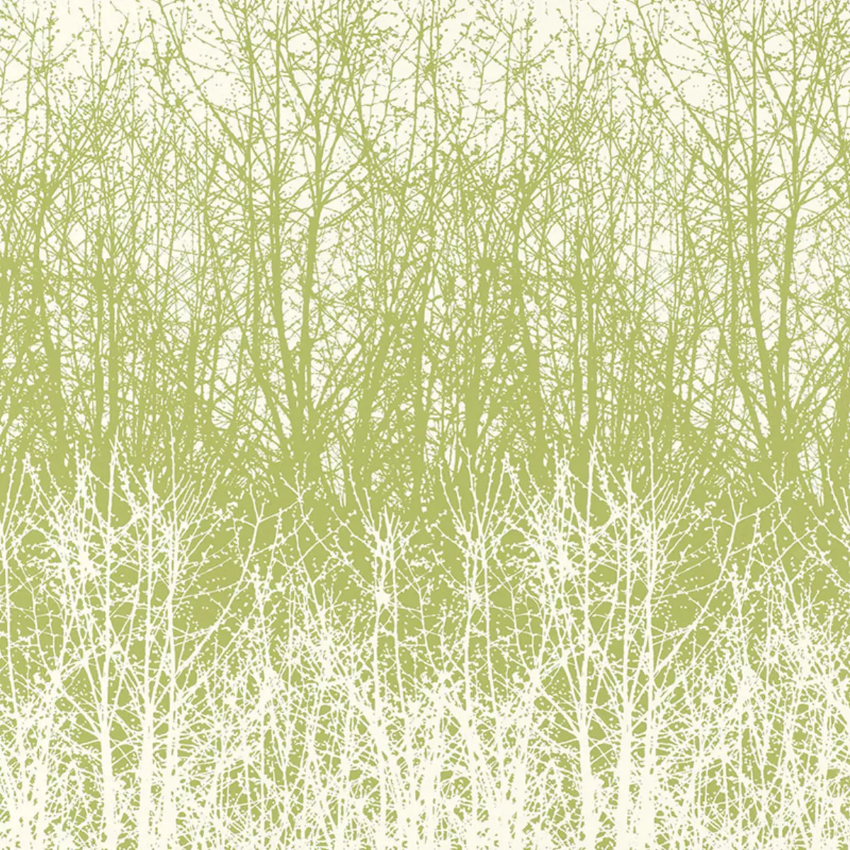 BIRCHES_ LEAF/WHITE