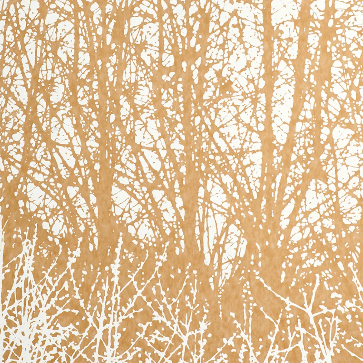 BIRCHES_ TAN