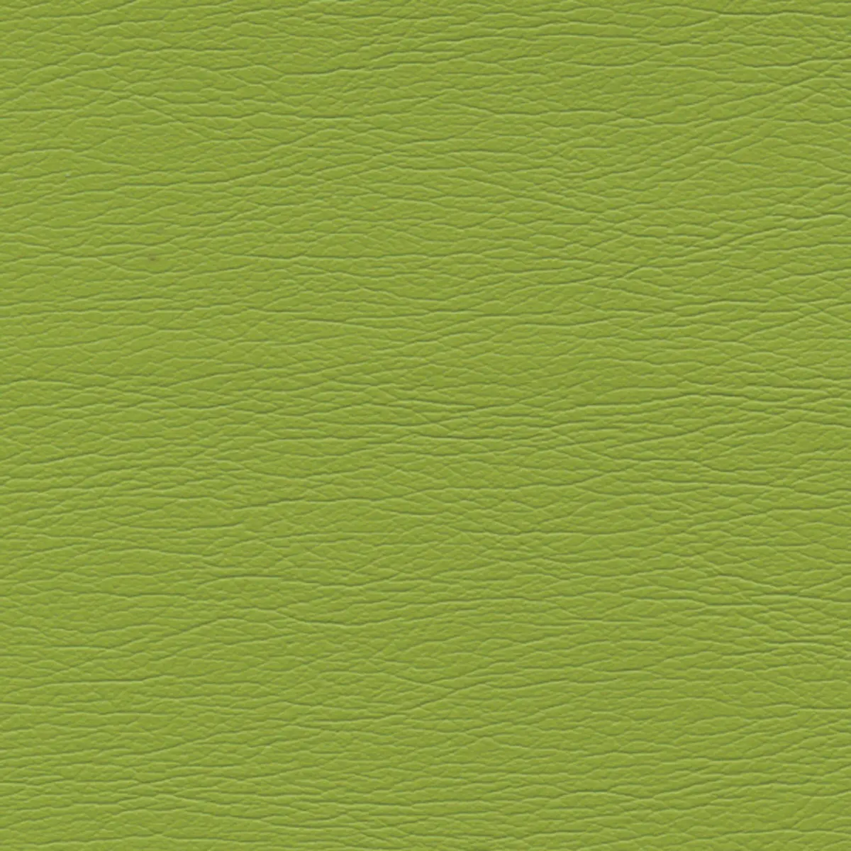 ULTRALEATHER_ PARROT