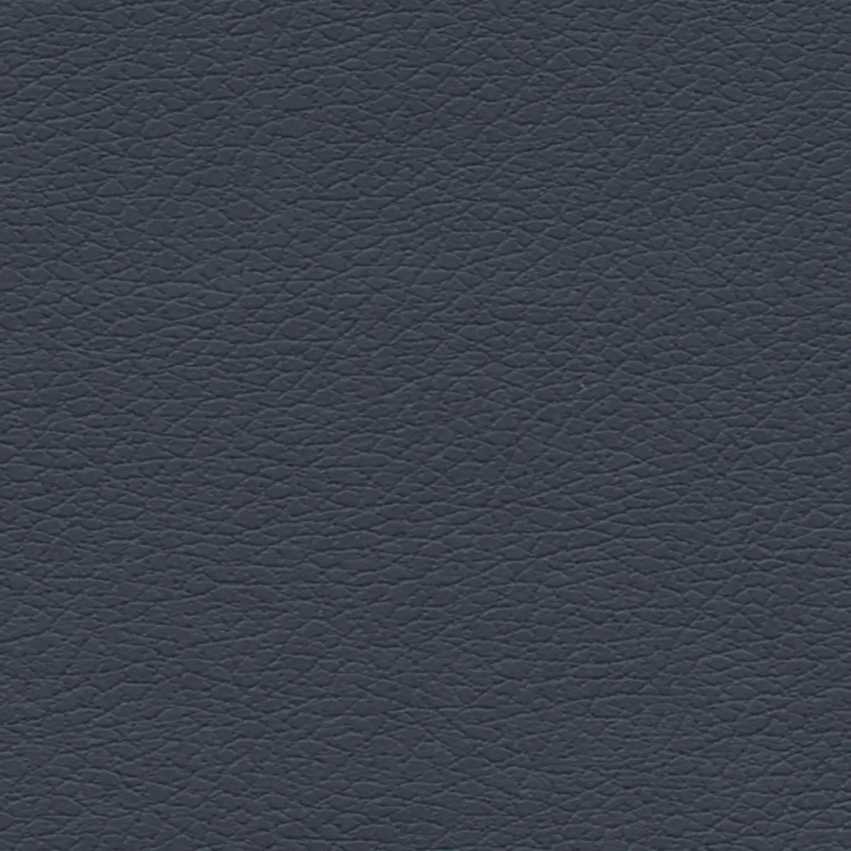 BRISA_ NIGHT NAVY