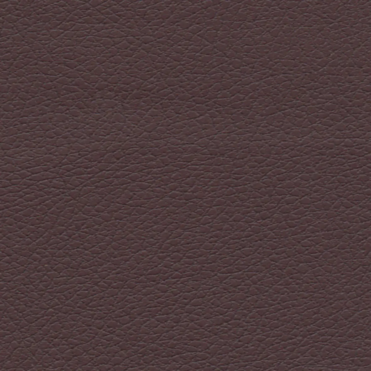 BRISA_ CABERNET