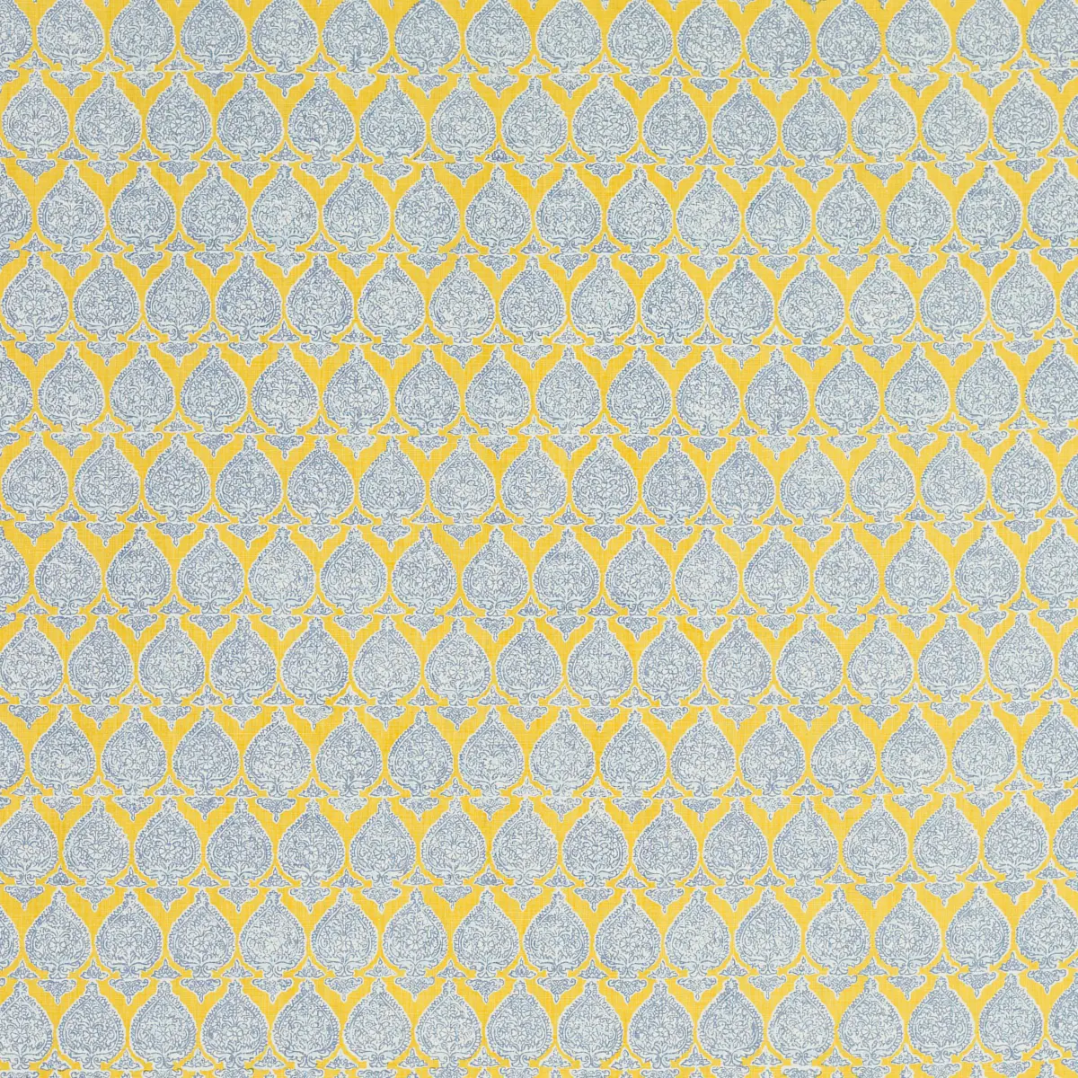 Sari_ SAFFRON