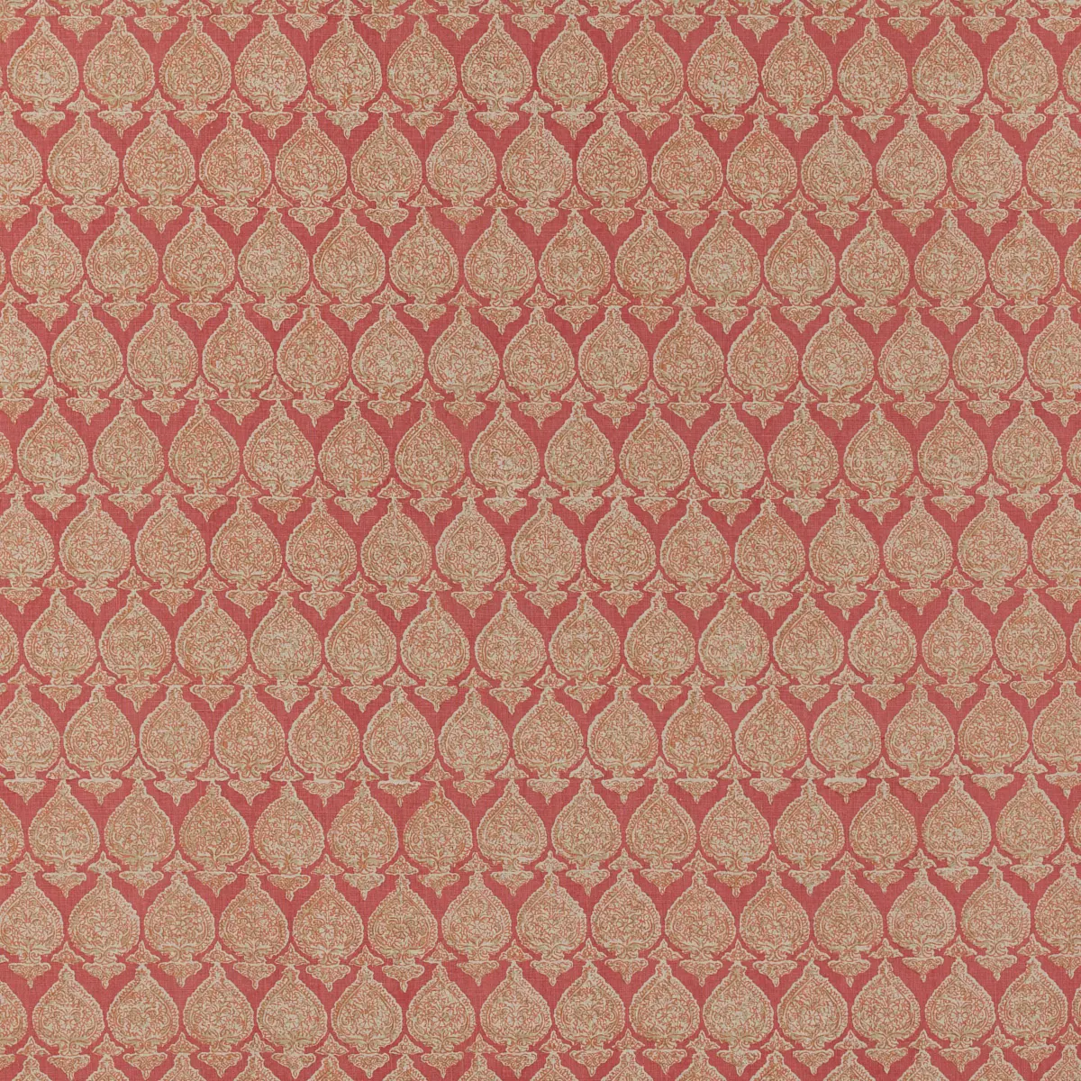 Sari_ INDIA
