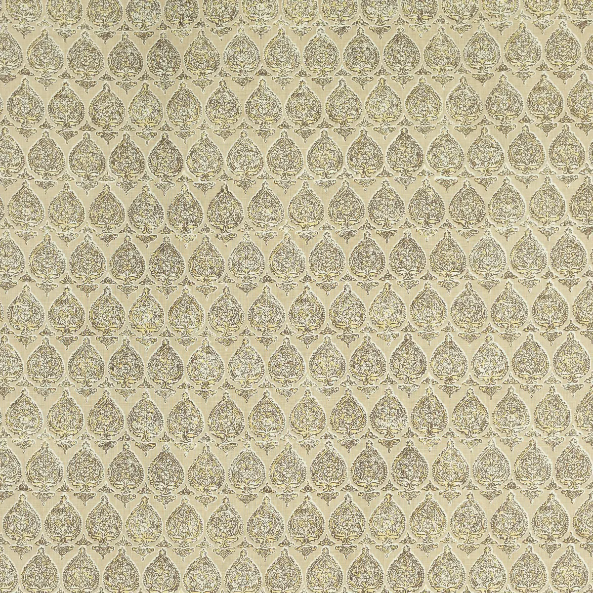 Sari_ NOUGAT