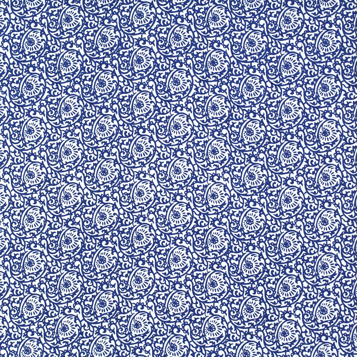 Scroll Paisley_ MAJOLICA