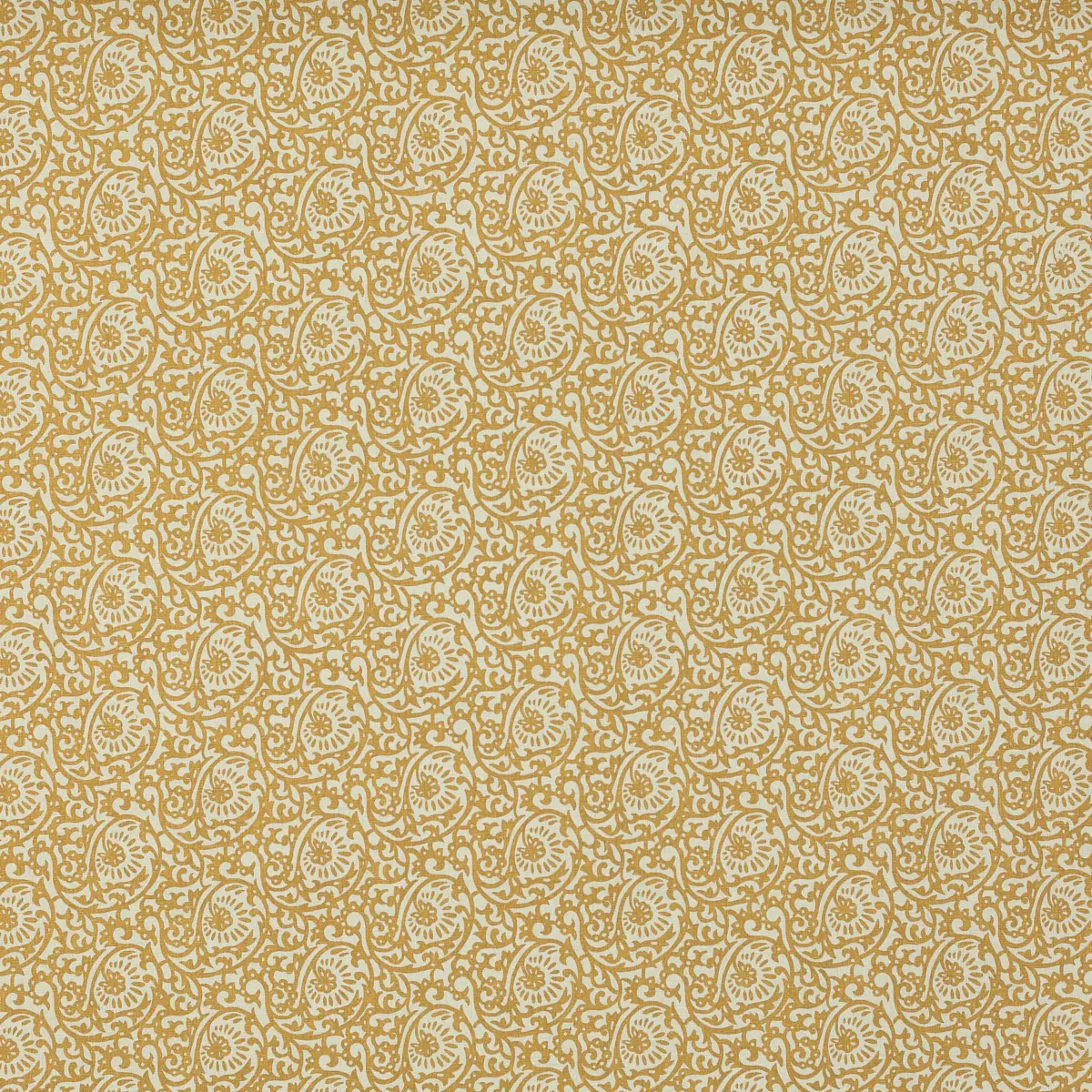 Scroll Paisley_ ANTIGUA