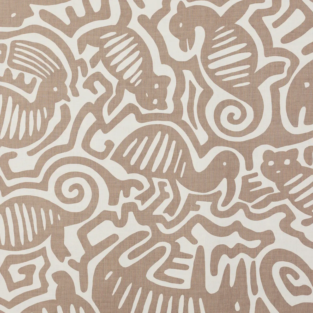 Zoo Dance_ COCOA
