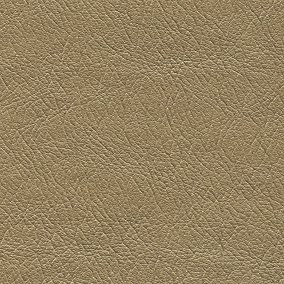 ULTRALEATHER PEARLIZED_ MICA