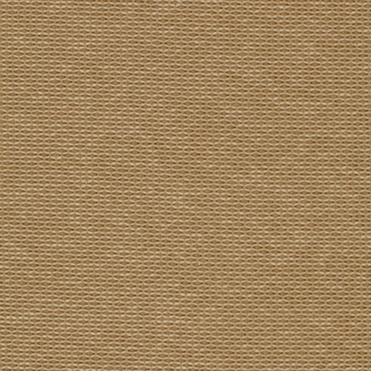 BRAMLEIGH_ CAMEL
