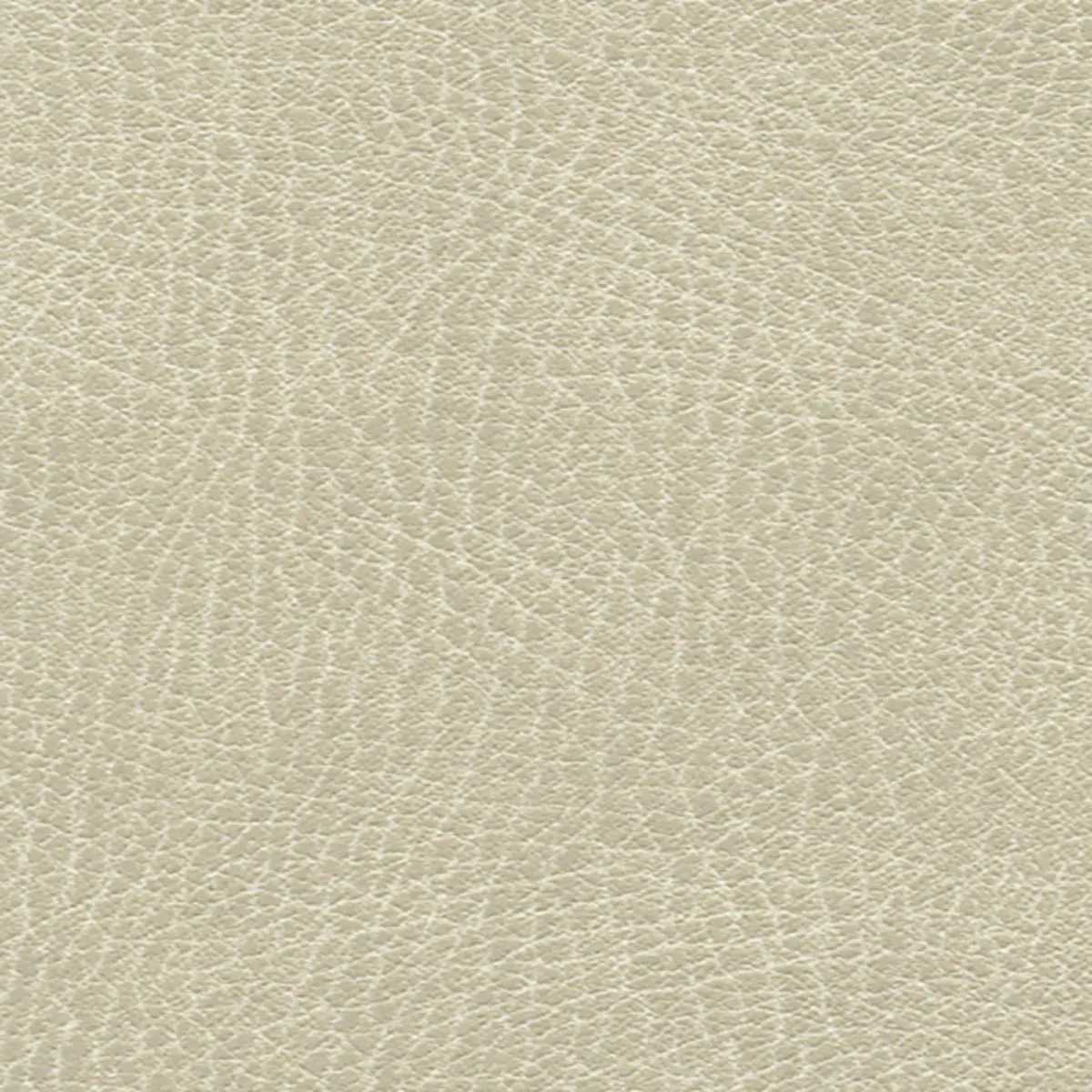 BRISA DISTRESSED_ PUTTY