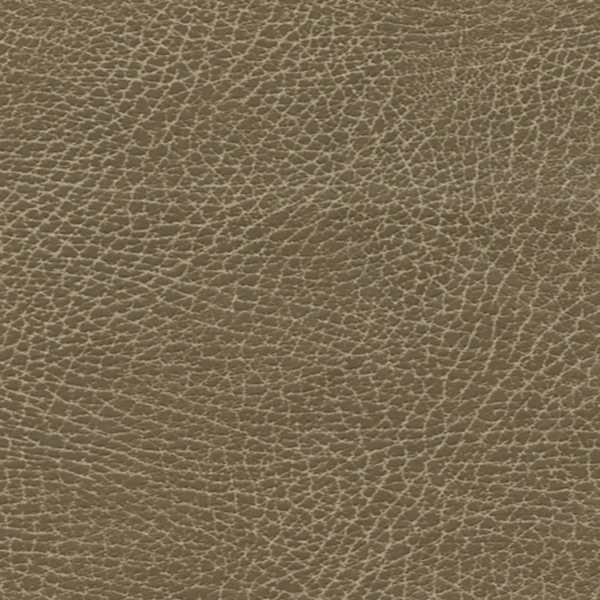 BRISA DISTRESSED_ SADDLE