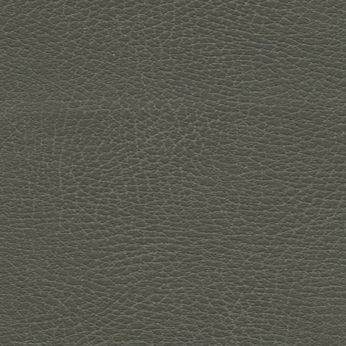 BRISA DISTRESSED_ ELEPHANT