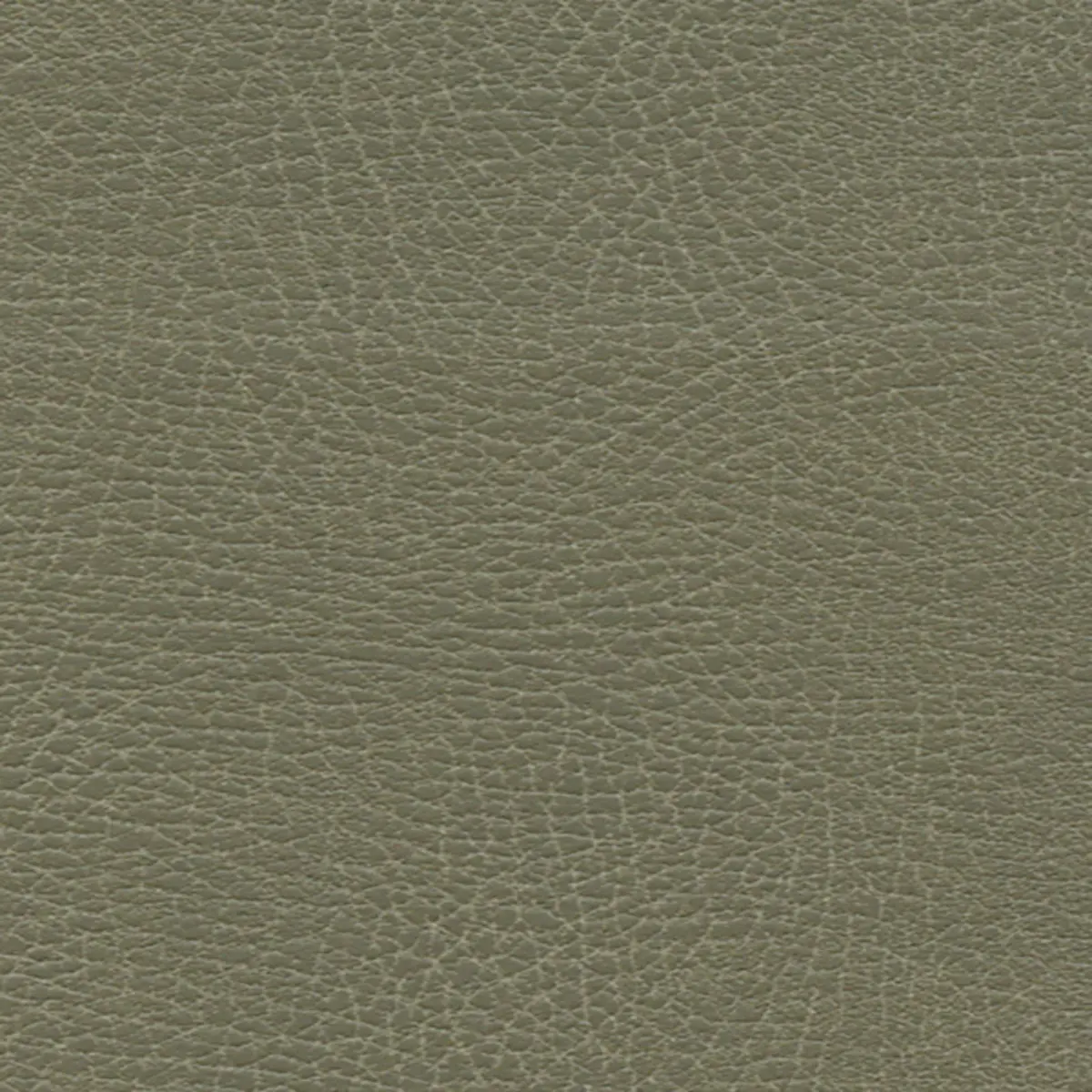 BRISA DISTRESSED_ PRAIRIE