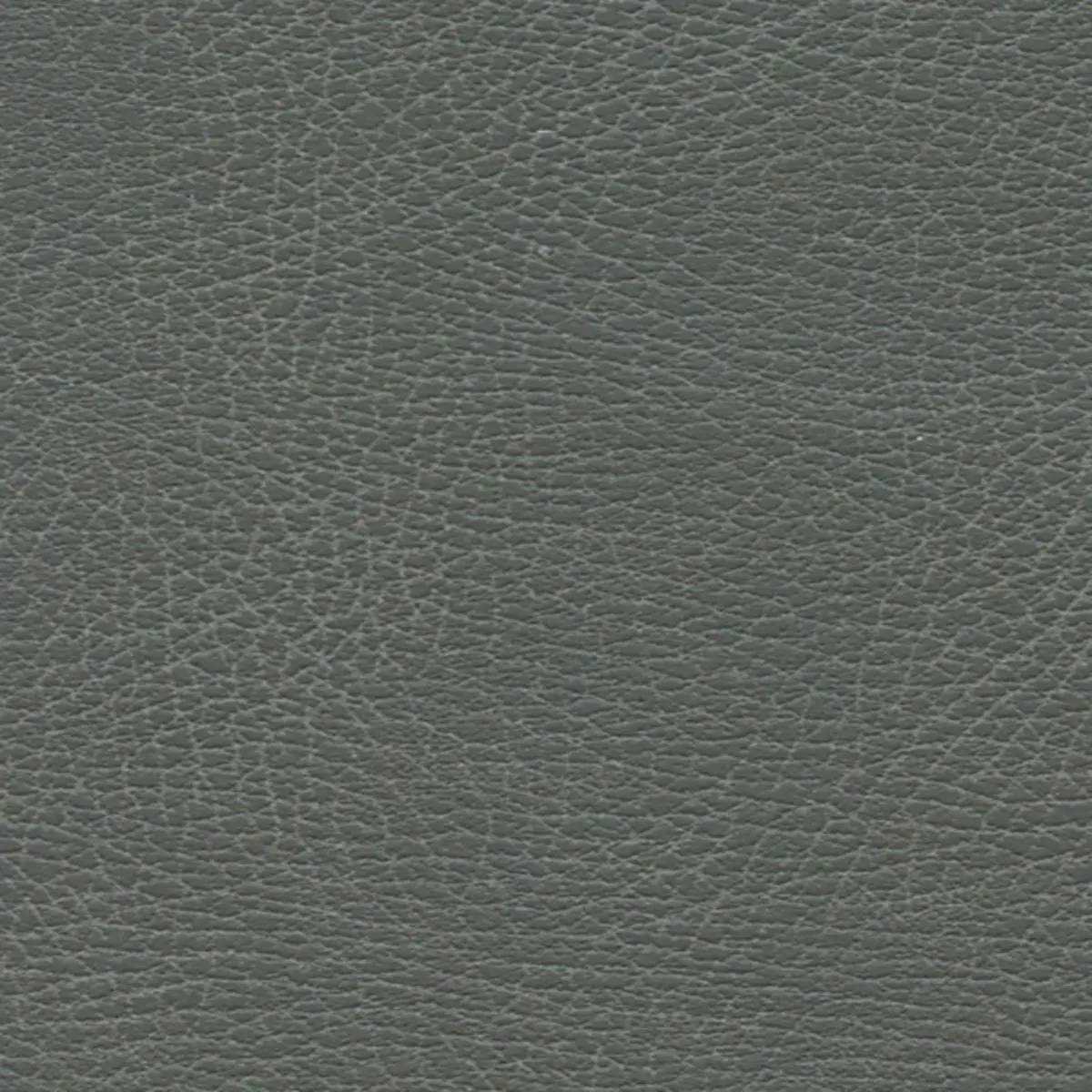 BRISA DISTRESSED_ IRON