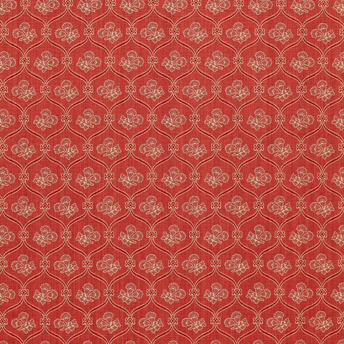 ASHLEY LATTICE_ CORAL