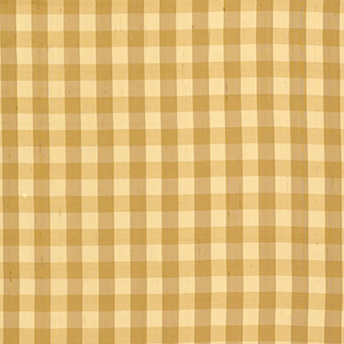 Inglebury Silk Check_ COIN