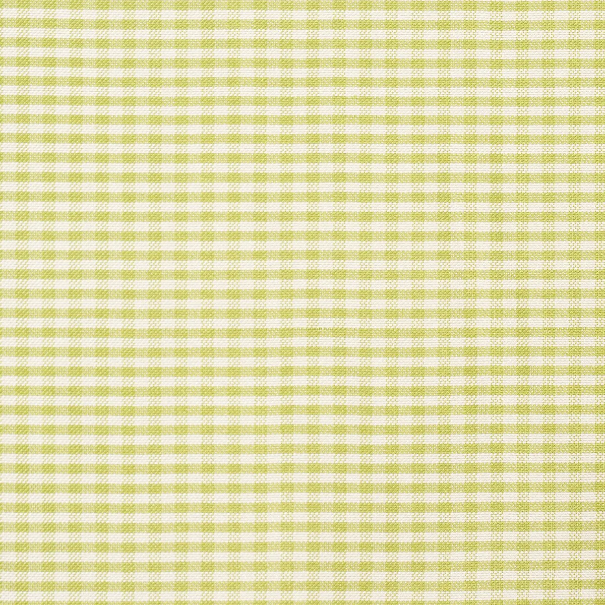 DALTON SILK GINGHAM_ CHARTREUSE