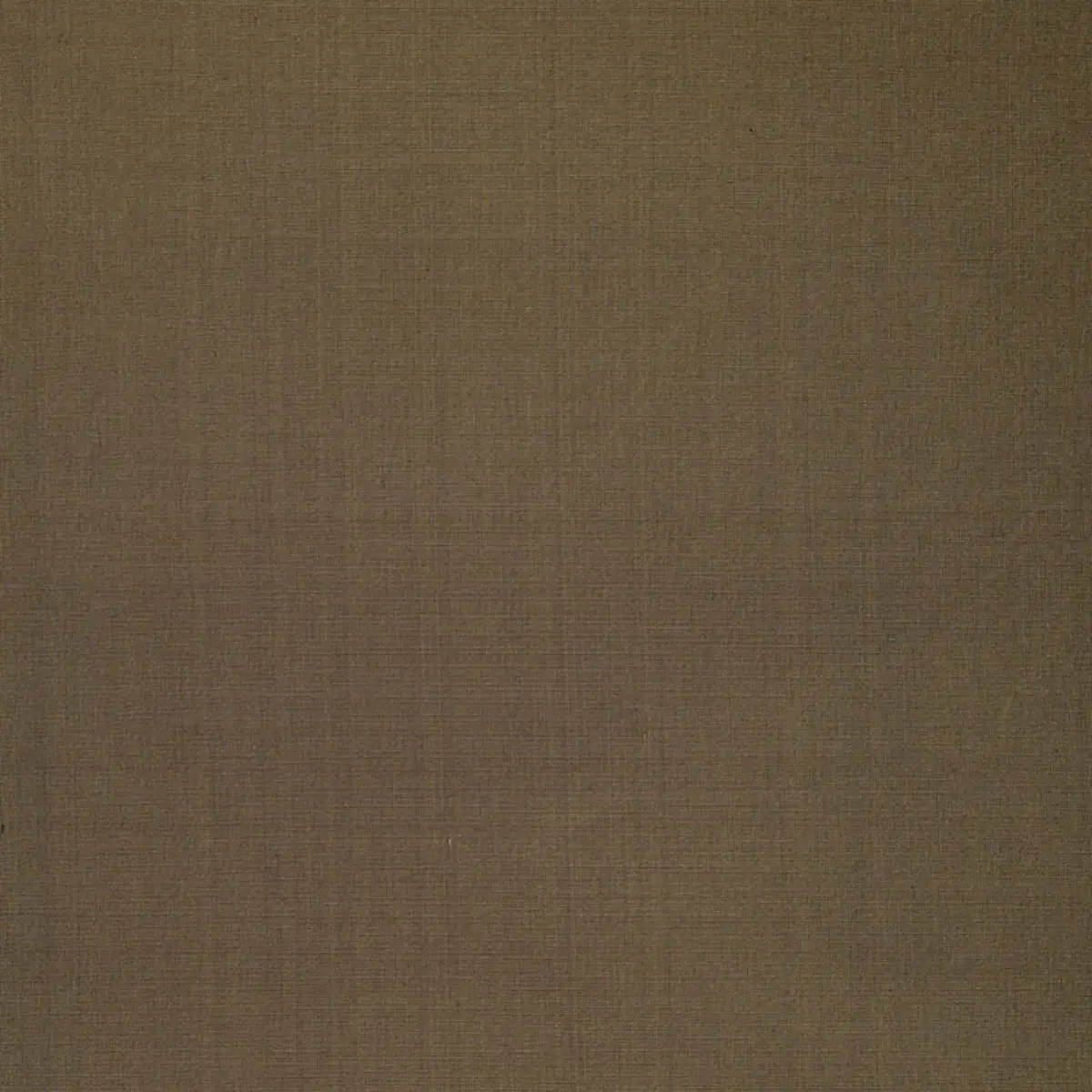 ANNISTON SILK TAFFETA_ JAVA