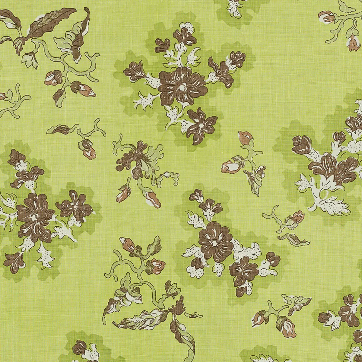Viola_ CELERY