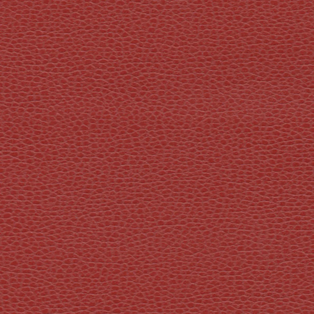 PROMESSA_ LACQUER
