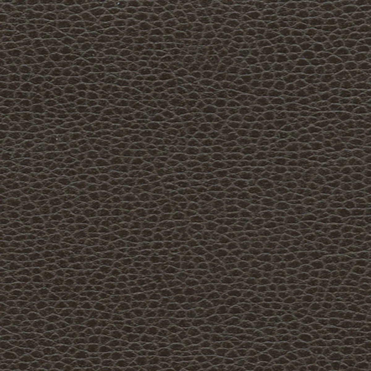 PROMESSA_ HORSEHAIR