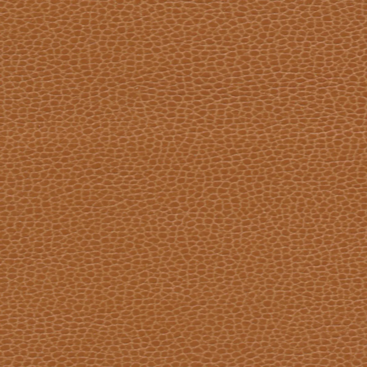 PROMESSA_ SADDLE