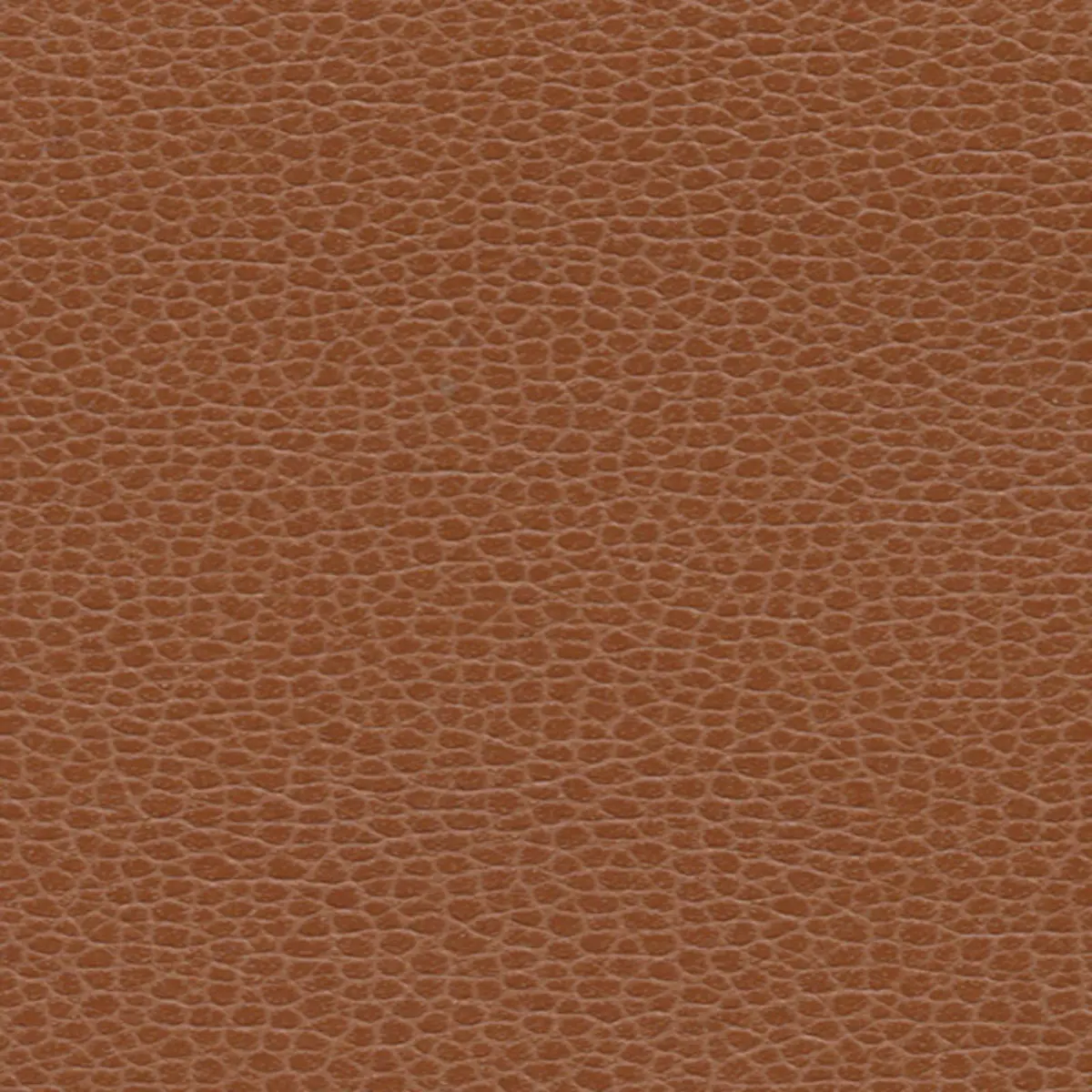 PROMESSA_ LEATHER