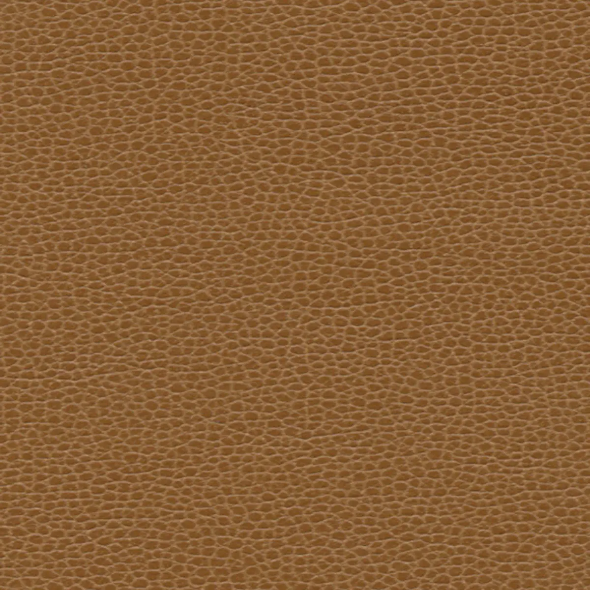 PROMESSA_ BRONZE