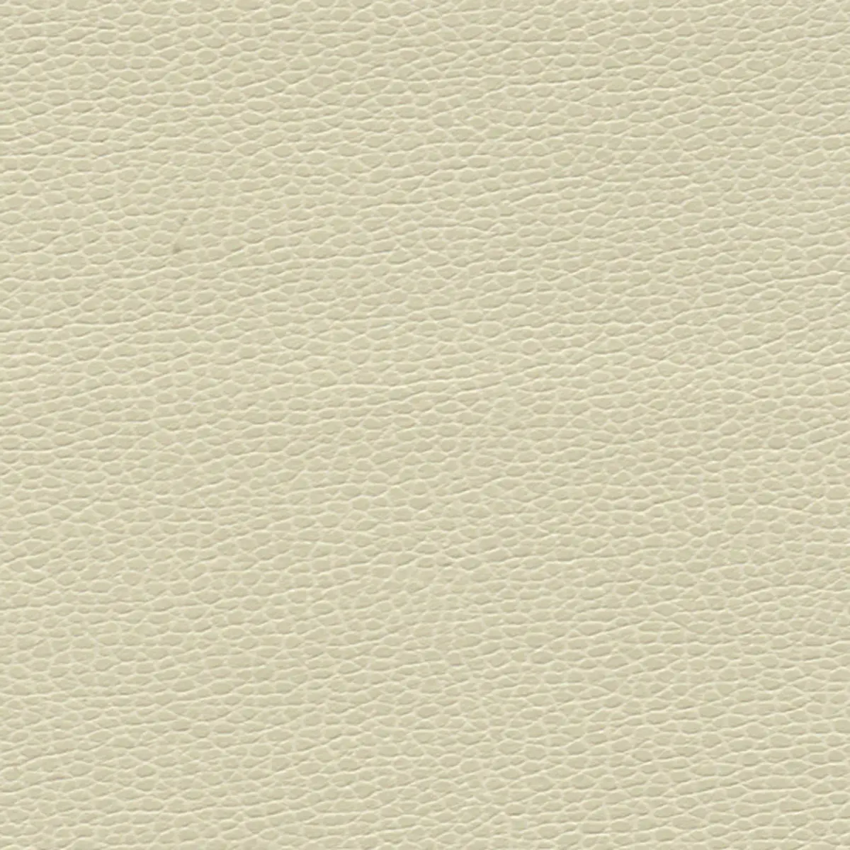 PROMESSA_ PARCHMENT