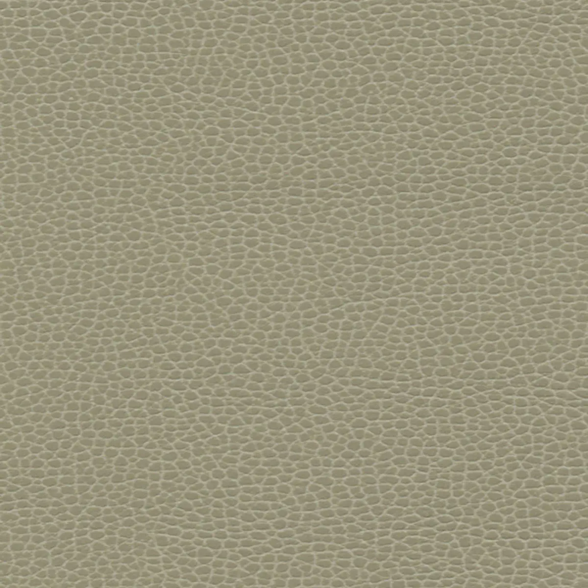 PROMESSA_ TAUPE
