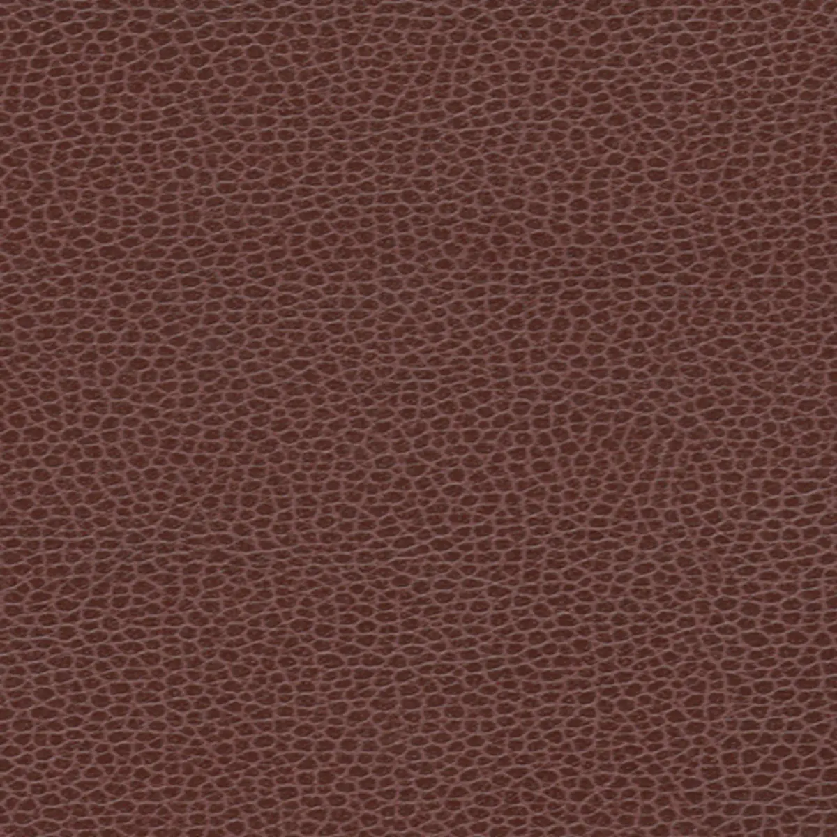 PROMESSA_ MERLOT